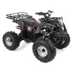 ATV pe benzina HECHT 56126 HURON, putere motor 8.1 CP, motor 4 timpi, capacitate cilindrica 125 CC