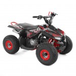 ATV pe benzina HECHT 56110 RED