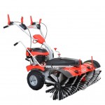 Masina de maturat pe benzina Hecht 8101 S