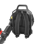 Suflanta pentru frunze Hecht 952 pe benzina putere 2 cp volum aer 0.24 Mc s 8.3 Kg