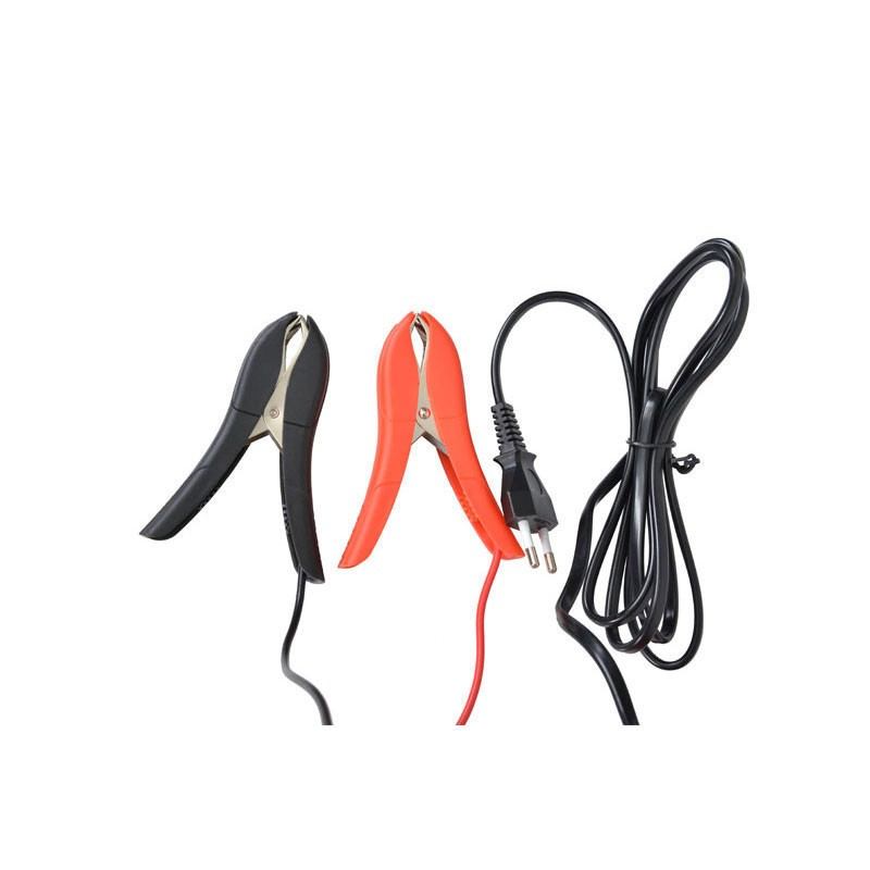 Incarcator inteligent pentru acumulatori auto HECHT 2013