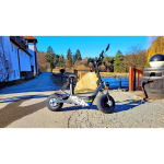 Scuter electric Hecht Terris White, 3000W